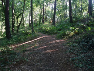 A fraga de Cecebre