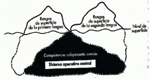 Competencia subxacente común